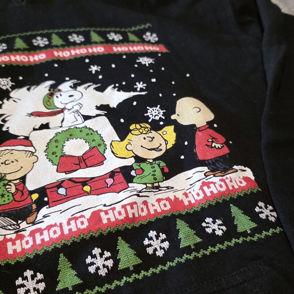 Peanuts Charlie Brown Holiday Hoodie (Size S)